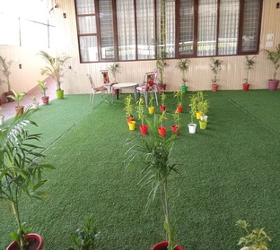 Green Area-3 (1)